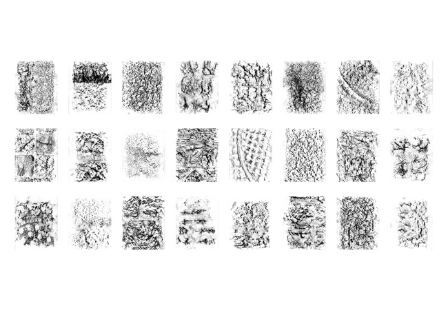 Master Thesis, Bodenaufnahmen Ilanz, Graphit, 2020 – © Maria Lamott Master Thesis, Bodenaufnahmen Ilanz, Graphit, 2020