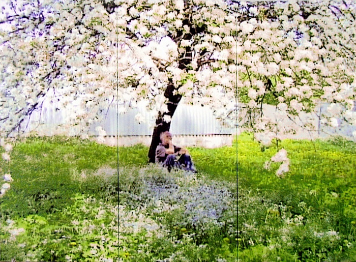 Cornelius Kolig, Apfelblüte