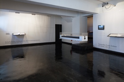 Blick in die Ausstellung "Dietmar Feichtinger: Wege und Orte" im aut