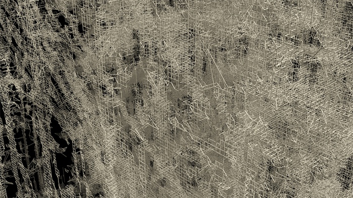 Maria Kuptsova, Bild aus PhD „BIO-TECHNIC: Implementation of bio-machinic intelligence into design protocols“