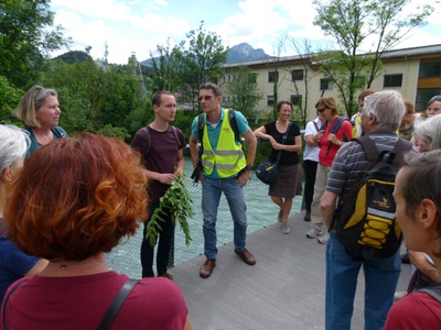 Spaziergang durch die unbekannte Welt der Pflanzen mit Thomas Schuh und Michael Thalinger