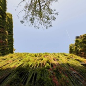 Werner Sobek, Calwer Passage, Stuttgart