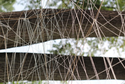 Baumhaus©Jasmin Redl