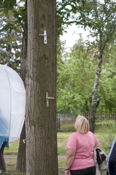 Oben im Baum2(C)M.Wachert