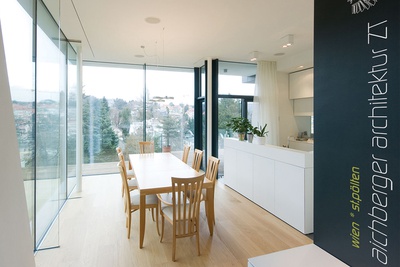 Hanghaus K. - Einfamilienhaus Neuerrichtung, Wien, 2012