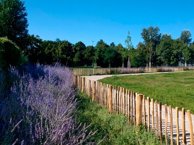 Lorettowiese Ersatzspiel- & Sportflächen mit Skaterpark, 2016