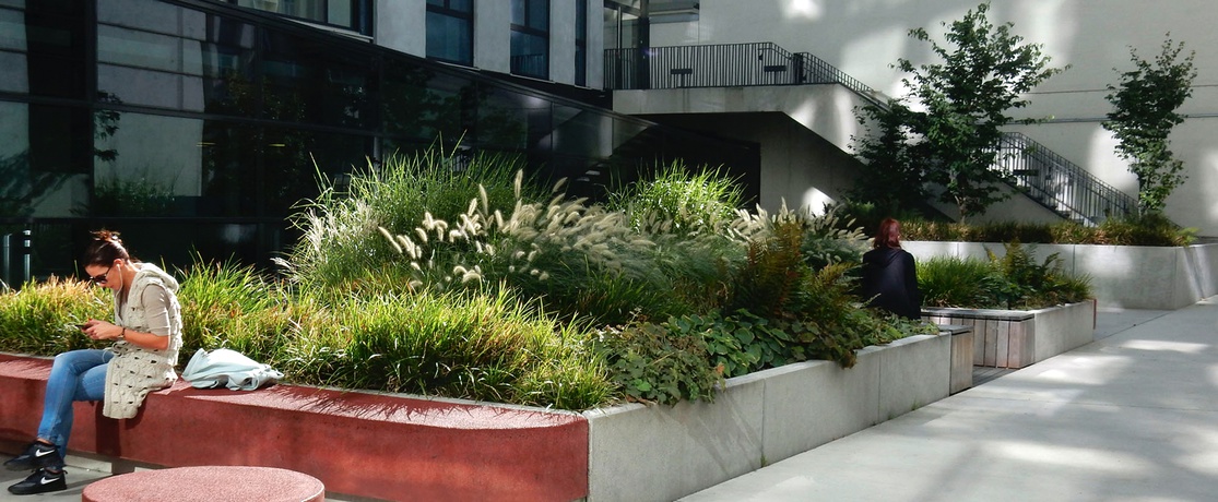 Universitätsgelände, Wien Währingerstraße, 2012 – © Sonja Schwingesbauer Universitätsgelände, Wien Währingerstraße, 2012