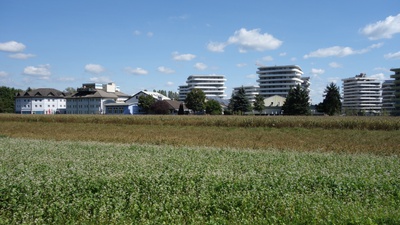 Blick vom Feld der Fachschule für Land- und Forstwirtschaft Grottenhof in Wetzelsdorf auf neue Wohnanlagen des gehobenen Segments. (Österreich ist „Europameister“ in der Versiegelung von Ackerland – während sich in der Innenstadt Urban Gardening stetig wachsender Beliebtheit erfreut.)