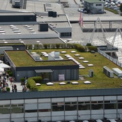 Gründach Salzburg Airport 2016