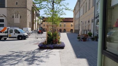 ORTE platzvisite domplatz stpoelten jabornegg