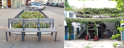 Gestaltung von Mikrogrünflächen in Blocksanierungsgebieten in Wien, 2015