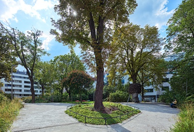 Viktor Frankl Park, Alsergrund/Wien, 2011