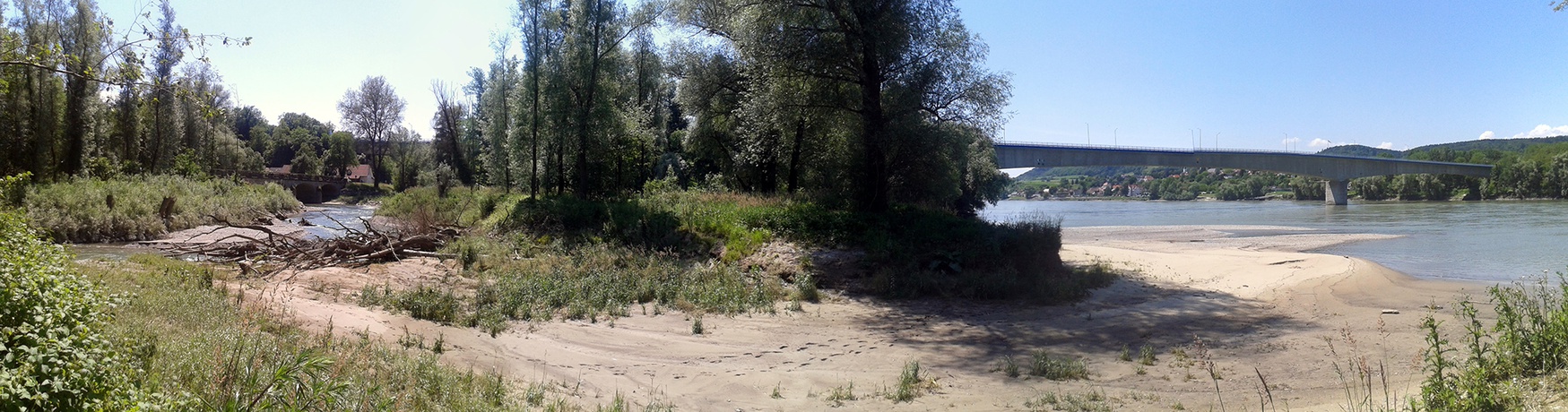 LIFE+ Projekt Mostviertel- Wachau – Neophyten-Management und Besucherlenkungskonzept, 2015