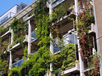 Wiedner Hauptstraße