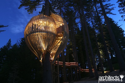 Yellow Treehouse Restaurant – © Yellow Treehouse Restaurant in Neuseeland, Architektur und Foto: Pacific Environements Architects Yellow Treehouse Restaurant