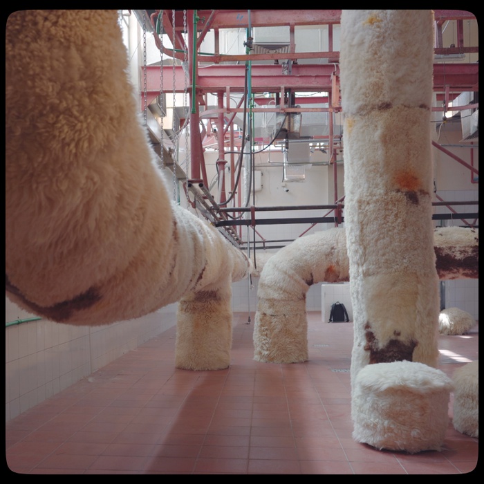 Filmstill Installation by Adrian Pepe in an Old Slaughterhouse