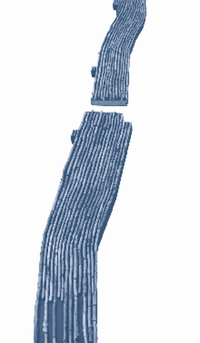 © Foto: Klaus Zolondowski