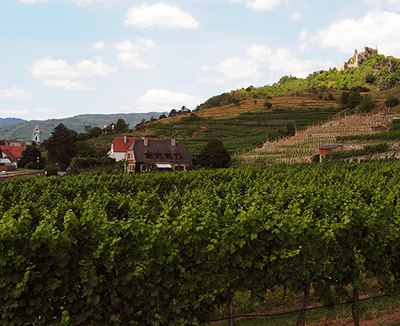 Gehspräch-Dürnstein-01 – © Dürnstein, Foto: © Heidrun Schlögl | ORTE, 2015 Gehspräch-Dürnstein-01