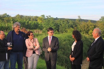 Fenster in die Landschaft_15 – Foto: Stephan Nessl, Winzer Krems