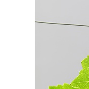 Fenster in die Landschaft