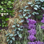 Detailaufnahme aus der Ausstellung "EINFACH GRÜN – Greening the City", DAM, Frankfurt, 2021