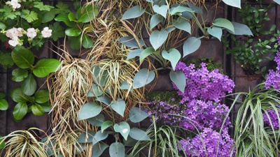 Detailaufnahme aus der Ausstellung "EINFACH GRÜN – Greening the City", DAM, Frankfurt, 2021 – © Heidrun Schlögl Detailaufnahme aus der Ausstellung "EINFACH GRÜN – Greening the City", DAM, Frankfurt, 2021