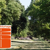 Naturdenkmal Lindenallee bei Ladendorf