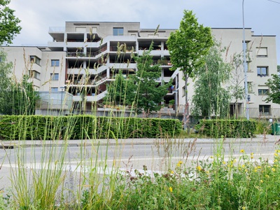 Heizenholz, Bau- und Wohngenossenschaft Kraftwerk 1