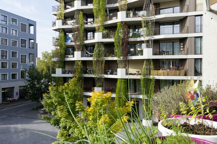Hunziker Areal, Baugenossenschaft mehr als wohnen