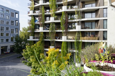 Hunziker Areal, Baugenossenschaft mehr als wohnen