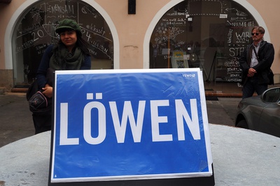 Löwenhof, Linzer Straße