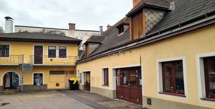 Löwinnenhof Jänner 2024