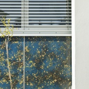 Rathaus Prinzersdorf Fassade