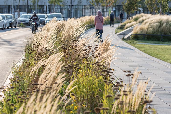Sonnenallee Aspern Seestadt Wien
