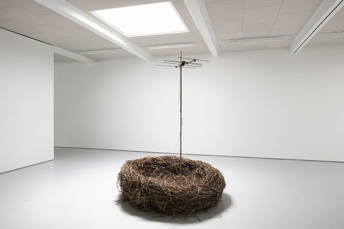 Roland Maurmair, Singlehit / Garçonnière, Installation, 2021