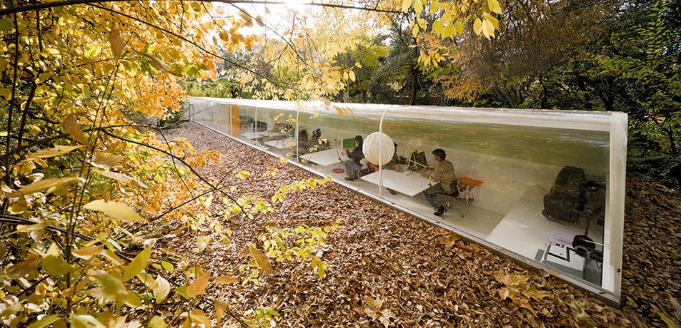 Office in the Woods, Madrid