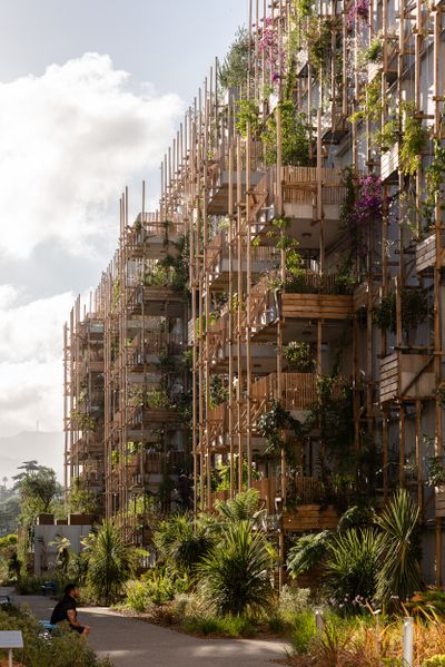 LE RAY, Nizza (FR), 2021 / 
Maison Edouard François, Paris