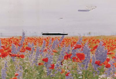 "We Apologize for the Temporary Inconvenience", 2018