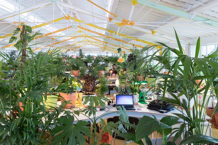 Second Home Mercado da Ribeira, Lissabon