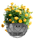 Originalfoto: Liftstation © Andrew Phelps / Bearbeitung: gelbe Chrysanthemen ergänzt