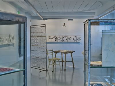 Blick in die Ausstellung "Von Gärten, Pflanzen und Menschen" im aut in Innsbruck