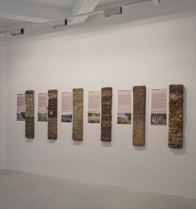 Blick in die Ausstellung "Boden für Alle. Eigennutz oder Gemeinwohl?" mit sechs verschiedenen Bodenprofilen im aut