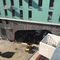 The Brick/Biotope City