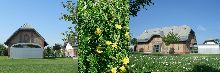 Felmayergarten Schwechat