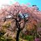 Kyoto. Vortrag von Junichi Owaki – Foto: YoshioTsutsumi