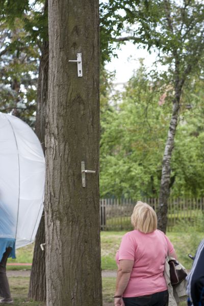 Oben im Baum2(C)M.Wachert